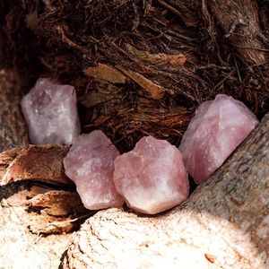 🔮✨Ethically Sourced Rose Quartz✨🔮